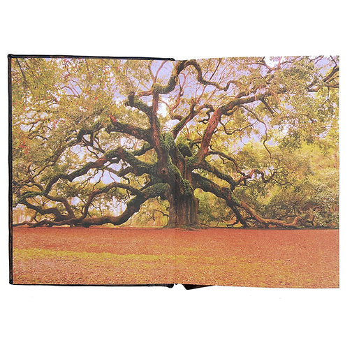 Padlocked Leather Diary