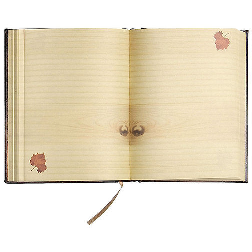 Padlocked Leather Diary